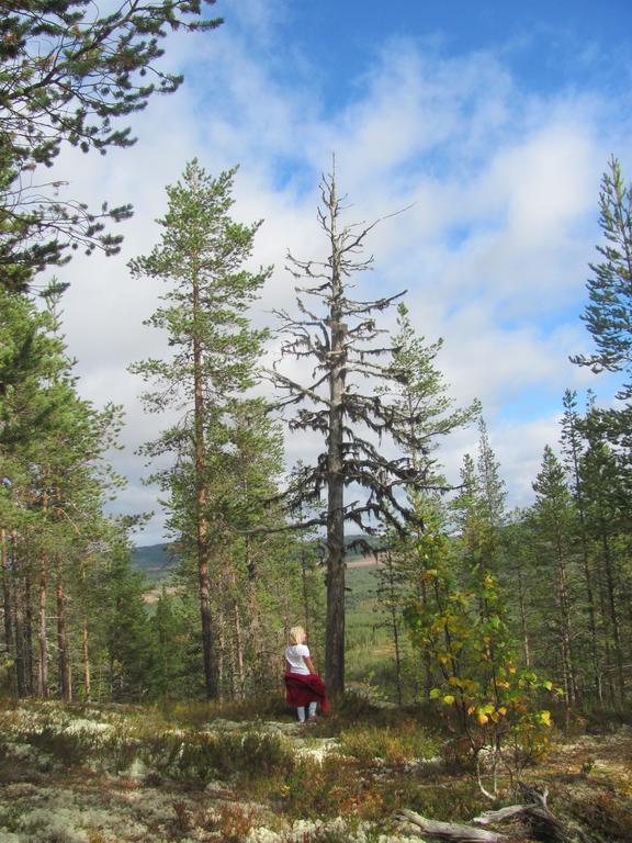 Ellis Garden Pension Vemhån Buitenkant foto