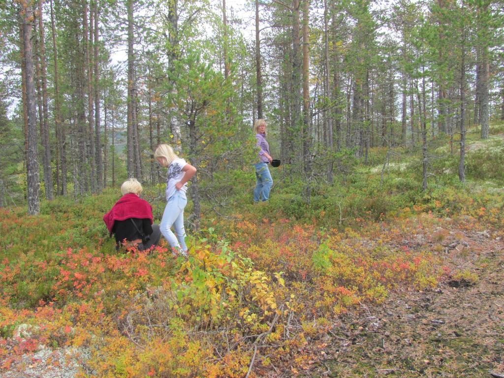 Ellis Garden Pension Vemhån Buitenkant foto