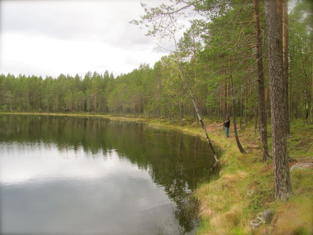 Ellis Garden Pension Vemhån Buitenkant foto