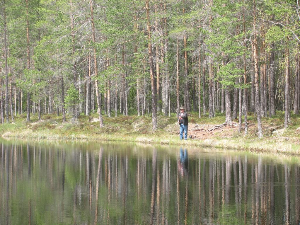 Ellis Garden Pension Vemhån Buitenkant foto