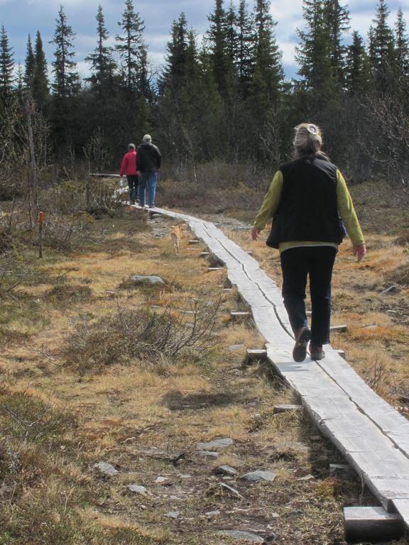 Ellis Garden Pension Vemhån Buitenkant foto